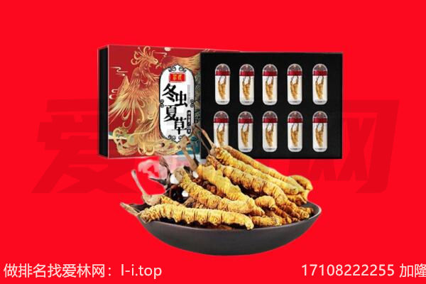 集贤县回收虫草.jpg